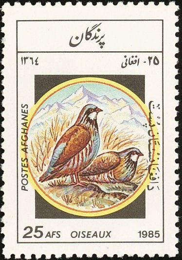 Adoration of the Magi (1306), fresco by Giotto, Spacecraft