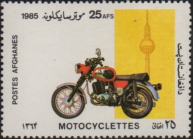 Meyer's Parrot (Poicephalus meyeri)