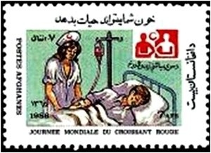 Outstanding Miltonia (Miltonia spectabilis)