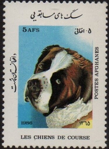 Horsfield's Tortoise (Testudo horsfieldii)