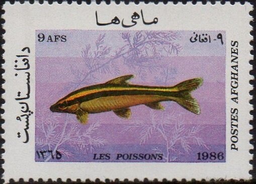 National Coat of Arms in a Circle - Red