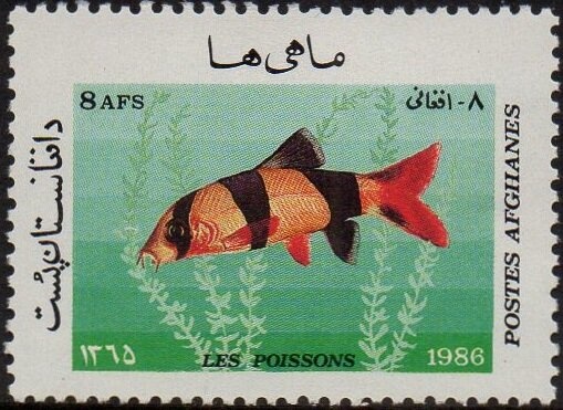 Bellflowers, Buttercups and Wormwood