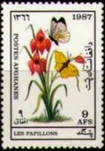 695th Death Anniversary of Maolana Djalalodine Balkhi