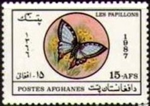 Apples (Malus sylvestris)