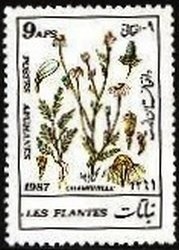 International Day of Environmental Protection