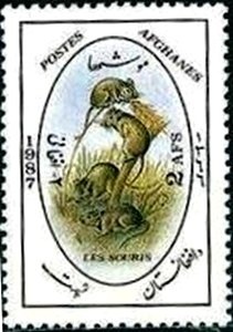 Eurasian Hoopoe (Upupa epops)