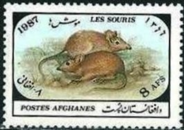 Osprey (Pandion haliaetus)