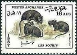 International Women's Day