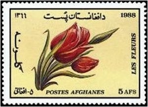 UN Headquarters, NY and Flags of UN and Afghanistan