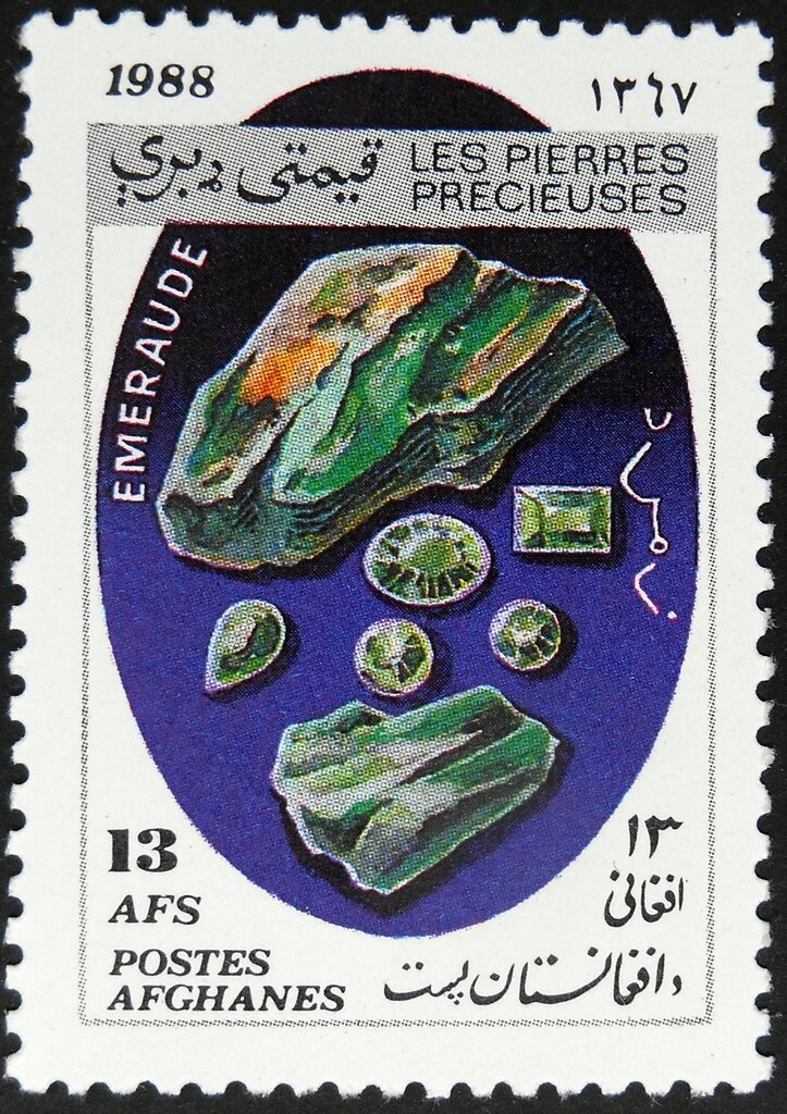 Bactrian Camel (Camelus ferus bactrianus)