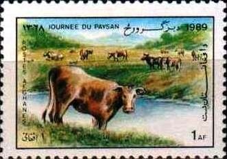 Aitutaki Chart of 1856