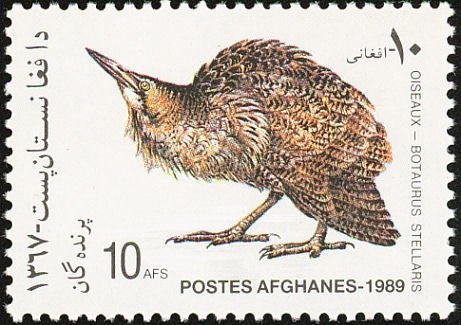 Silkworm (Bombyx mori), and Mulberry branch (Morus sp.)