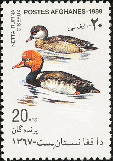 Martyr Families and Freedom Fighters in Palestine