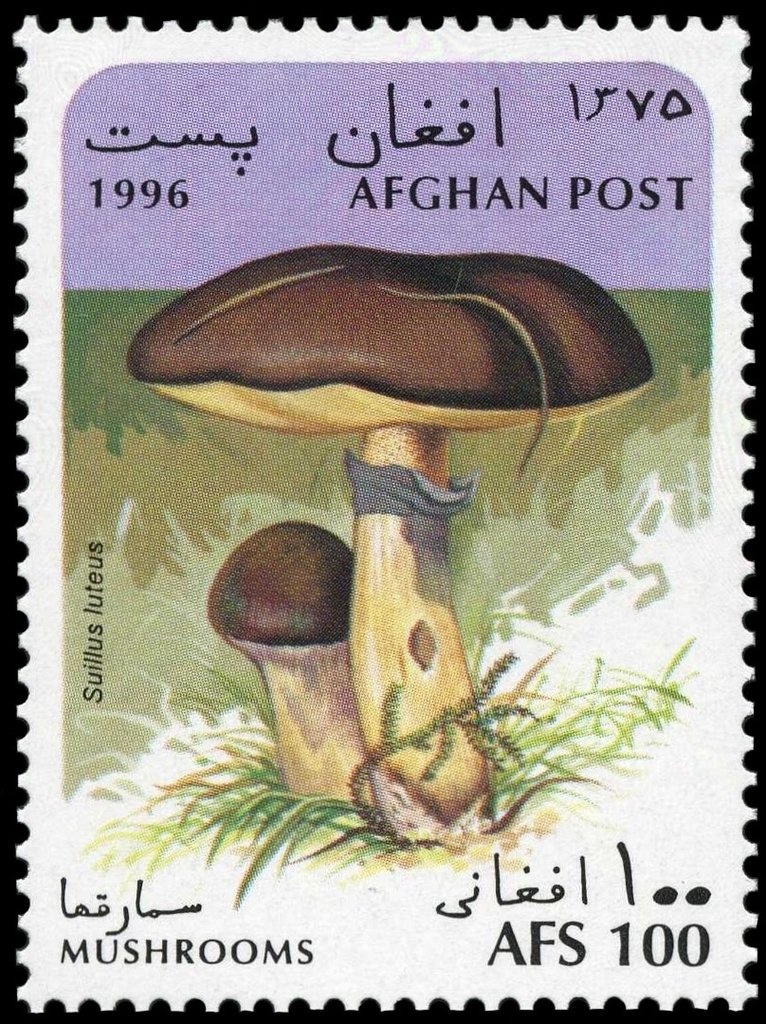 Pot, coins and inscribed tablets