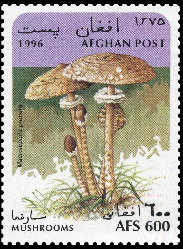 Atomic Energy Encircling the Hemispheres