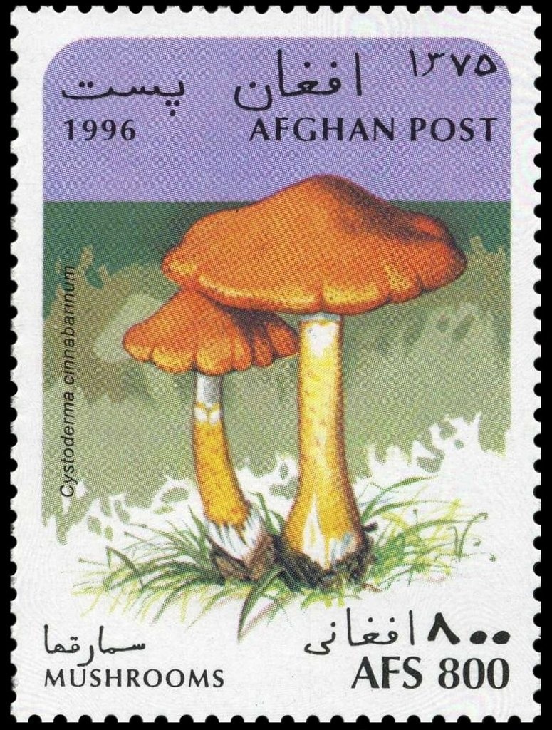 National Coat of Arms, dated 1310