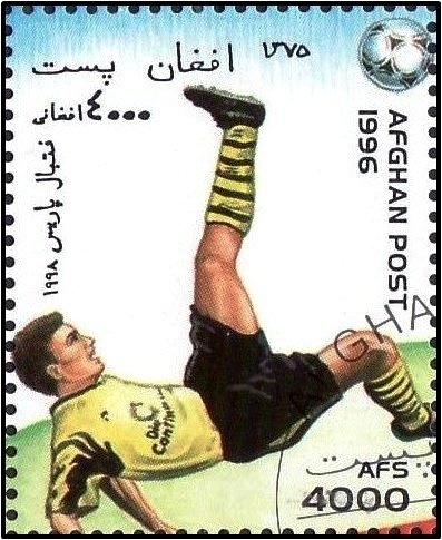 Bloodhound (Canis lupus familiaris)