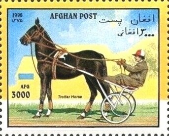 Small Tortoiseshell (Aglais urticae)