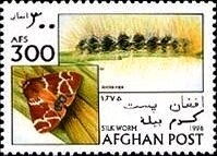 King George V (1865-1936) - Overprinted