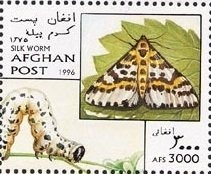 Khwaja Abdullah Ansari (1006-1088), Persian Sufi poet; flags