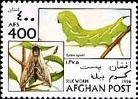 International Literacy Day