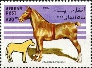 The Descent (detail, 15th-century Flemish School)