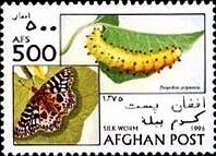 Astronaut on Moon carrying equipment