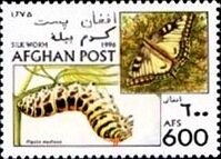 Bagh-i-Bala, former Palace of Abdur Rahman Khan