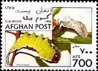 Pacific Black Duck and Brown Booby - surcharged