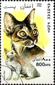 Cut Square 26 mm, year 1298