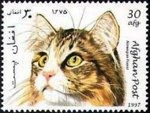 Beginning the 15th Century of the Islamic Calendar, Hegira