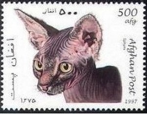 Christmas - Religious Paintings