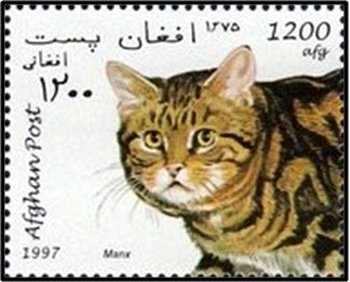 Bactrian Camel (Camelus bactrianus) in ornate caparison