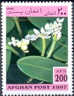 Paintings by Nicolas Poussin