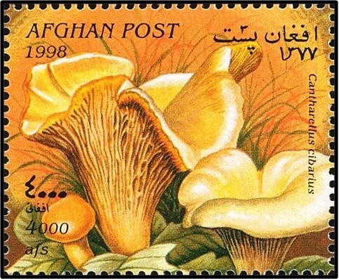 Millenium - Movie Stars of the 20th Century Medium