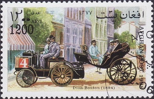 Afghan Hound (Canis familiaris)