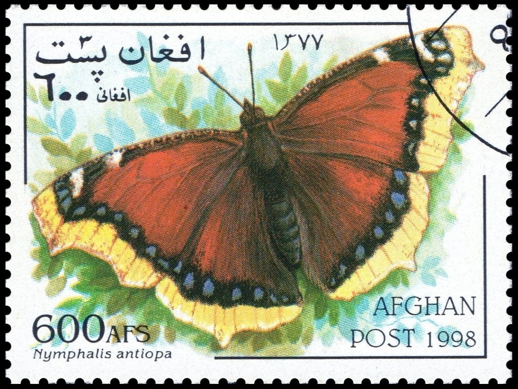 Milan World Cup Football Soccer in 2004