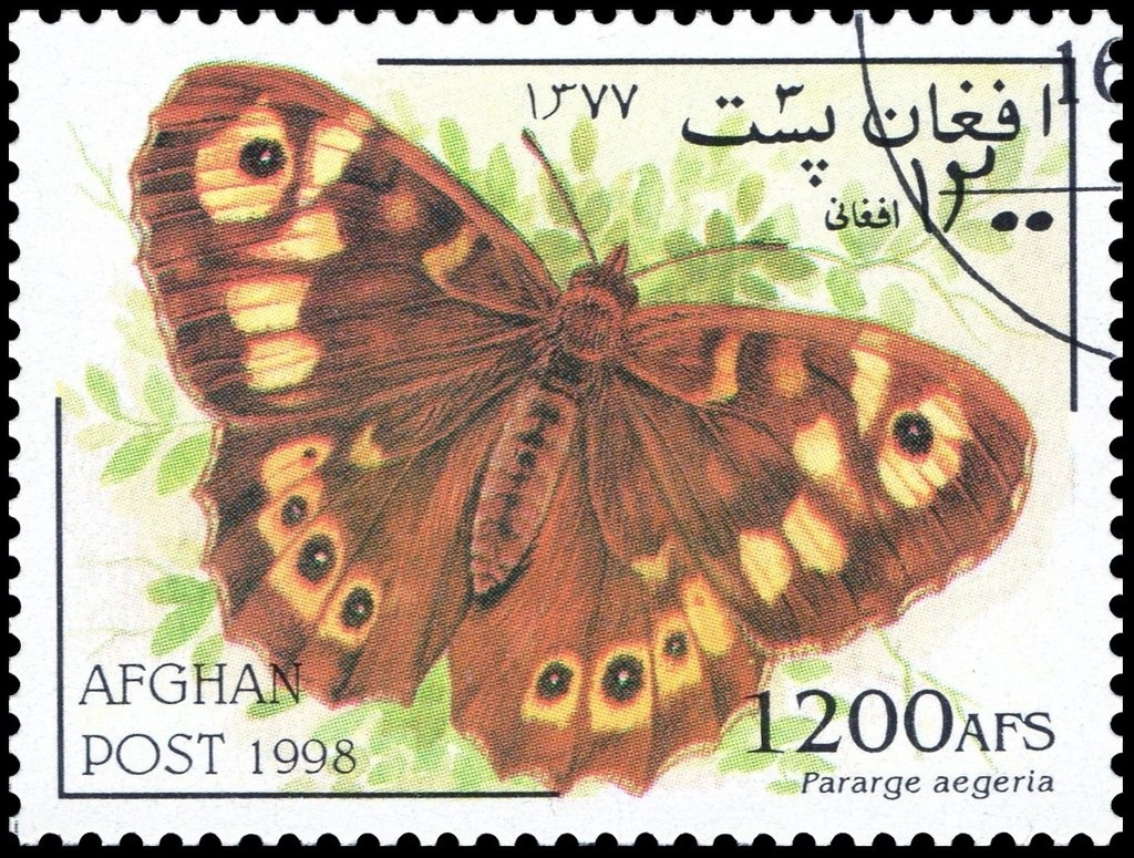 Parliament House, Darul Funun, Kabul - Mauve