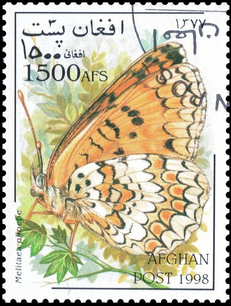 Pashtun with Pashtunistan Flag