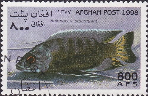 Uprooted Tree, surch +25 Ps