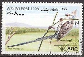 Tractor Ploughing in Poppies