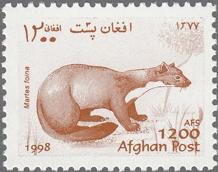 UN Headquarters, NY and Flags of UN and Afghanistan