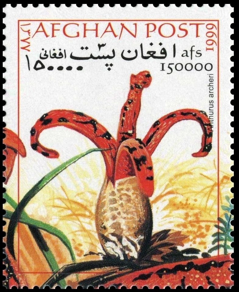 Cut Square 26 mm, year 1298