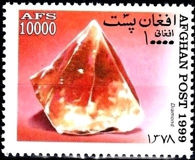 Welsh Corgi (Canis lupus familiaris)