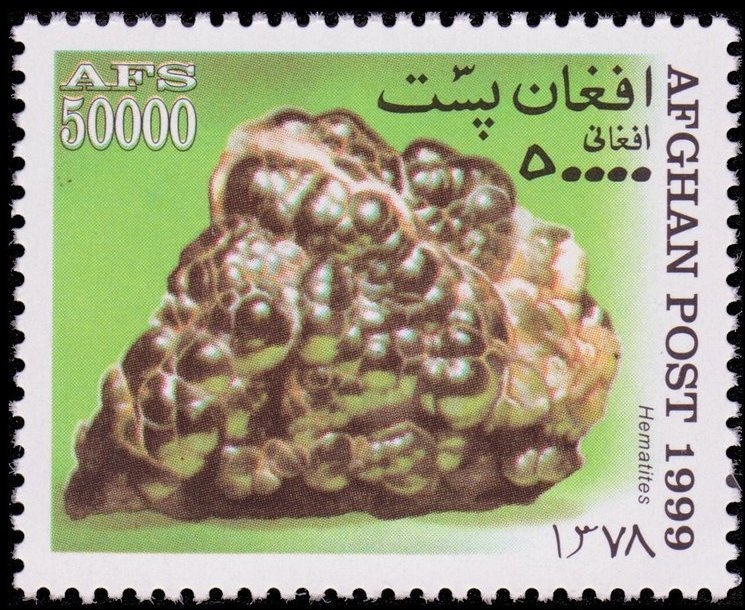 Yucatan Molly (Poecilia velifera)