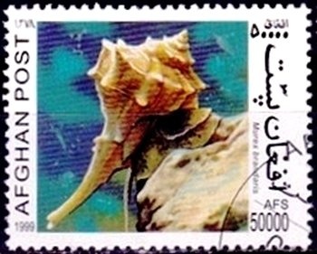 Scouts Around Campfire