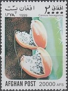 Millenium - Leaders of 9th-19th Century