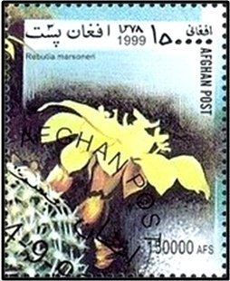 Old Habibia College, Kabul - Overprinted