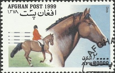 Humpback Whale (Megaptera novaeangliae)