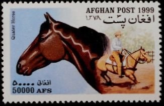 Magpie Moth (Abraxas grossulariata)